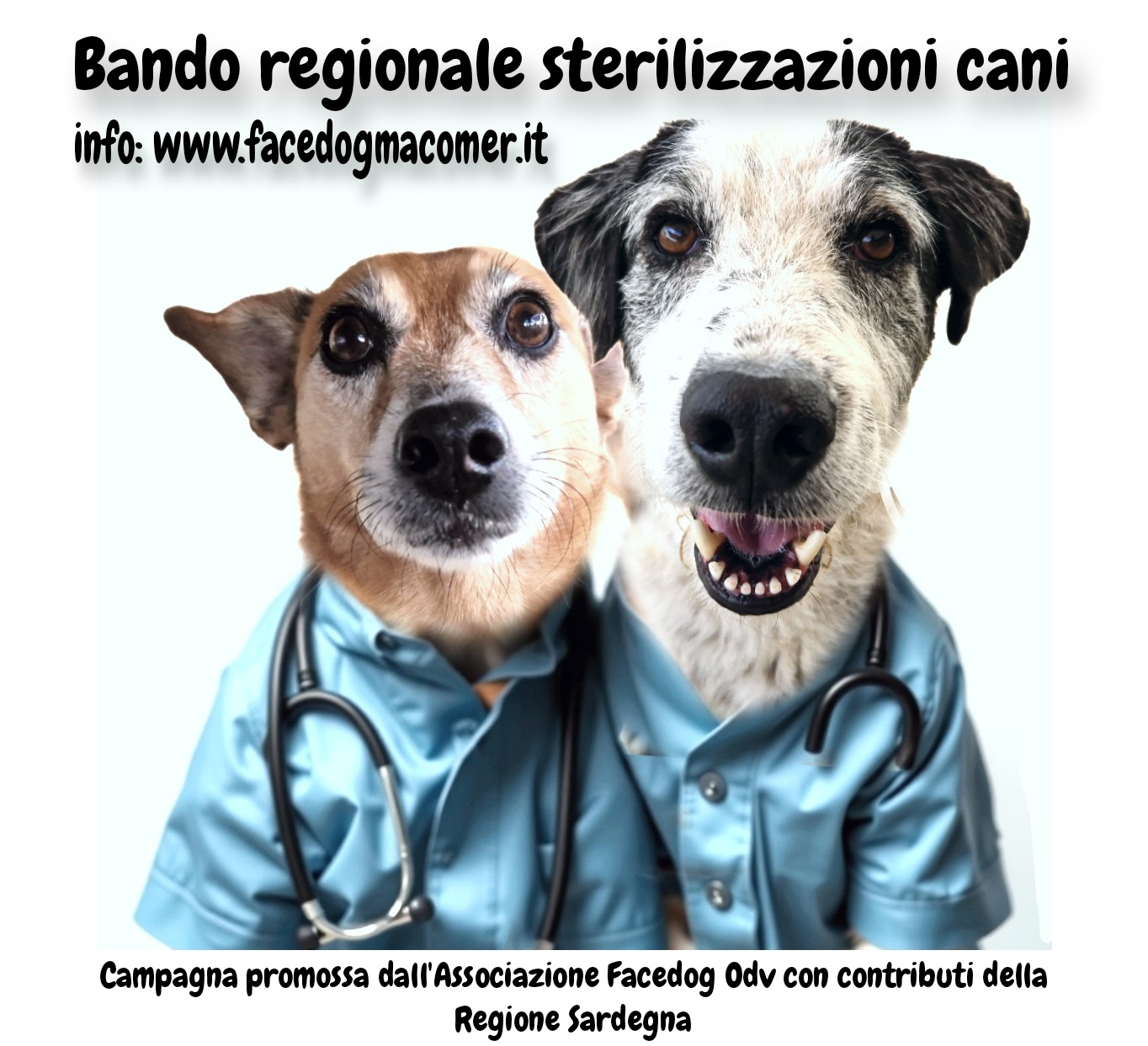 BANDO STERILIZZAZIONI